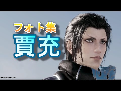三國無双 企業バレンタイン企画 返礼品 賈充 真・三國無双8 フォトモードのフォト集【賈充】Jia Chong