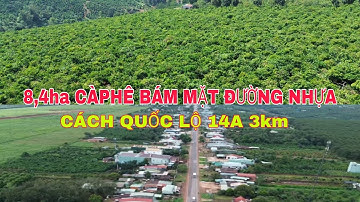 Cần bán 8,4ha bám đường nhựa liên xã cách quốc lộ 14A chỉ 3km