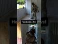 CQB Is Brutal! #airsoft #military #shorts