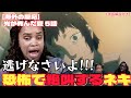 【光が死んだ夏5話】最初からクライマックスなホラー展開にビビりまくるニキたち【海外の反応】