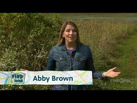 Davenport’s Nahant Marsh | FIND Iowa