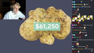 xQc Reacts to Why Real Truffles Are So Expensive - Business Insider