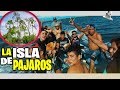 LA ISLA DE LOS PÁJAROS - ENCONTRÉ A CONEJO VIEJO