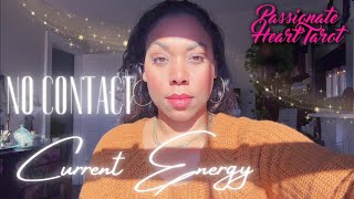 ✨? No Contact ? Current Energy ✧ All 12 Signs - Time Stamped ?✨