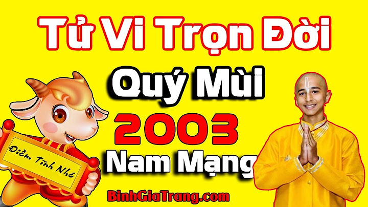 2003 khối lượng vận chuyển nào lớn nhất năm 2024