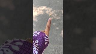 Random Day 🤩 #shorts #ytshorts #viral #vote #tamilnadu