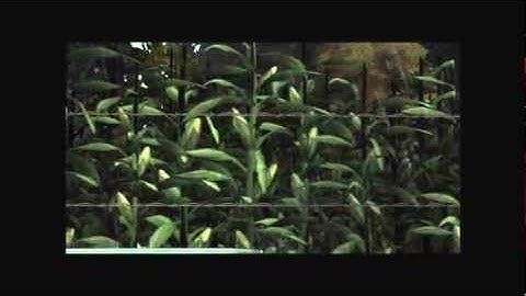 Walking Dead Episode 2. "Starved for Help" - Part 8