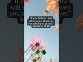 Bible verse of the day