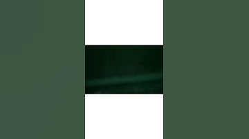 cassava peeling machine with Bennie Ltd.