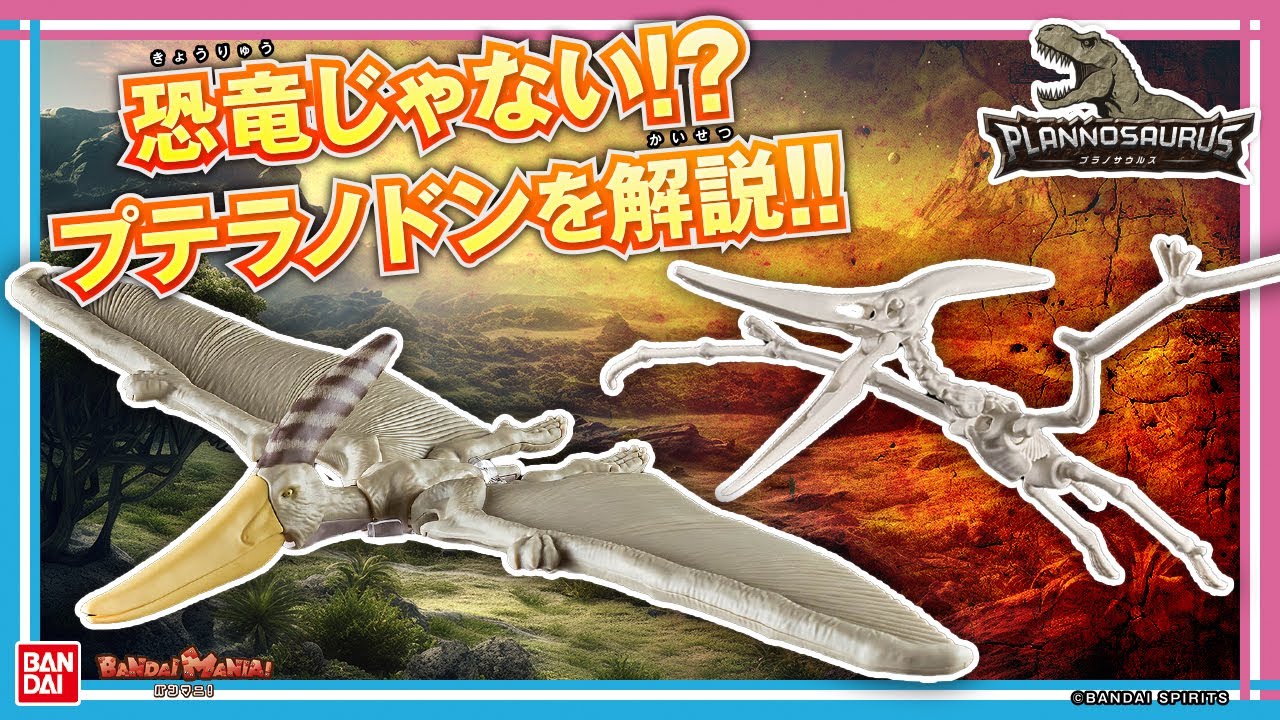 バンダイ公式】プテラノドンって恐竜じゃないの!?プテラノドンの知られ