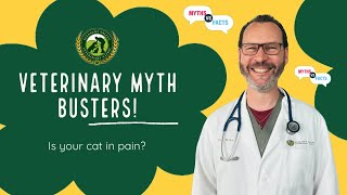 Vet Myth-Busters episode 4! Cat Pain Awareness