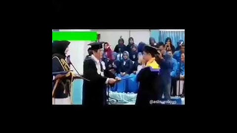 Video Wisuda Joget Entah Apa Yang Merasukimu