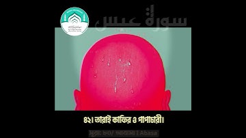 সূরা আবাসা । ৩৩ - ৪২ । Abasa । سورة عبس । হাফিজ সাদিকুর রহমান । At-taqwa Masjid And Islamic Center