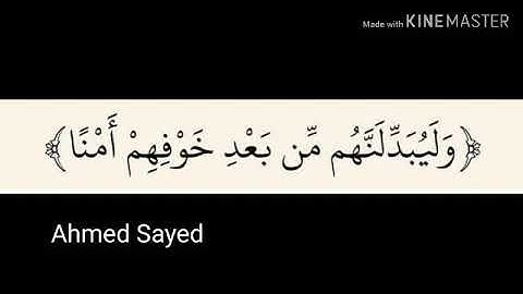 الشيخ احمد نور الدين سورة الحاقة