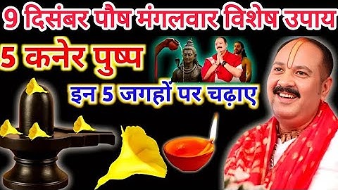 9 दिसंबर मंगलवार पंचमी के दिन कनेर पुष्प वाला उपाय जरुर करें ||#pradeepmishrajidhankeupay #shivupay