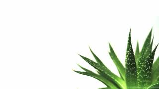 Tugas Materi 6 Video Grasshopper Operator (TOT Sagusanov Coding)
