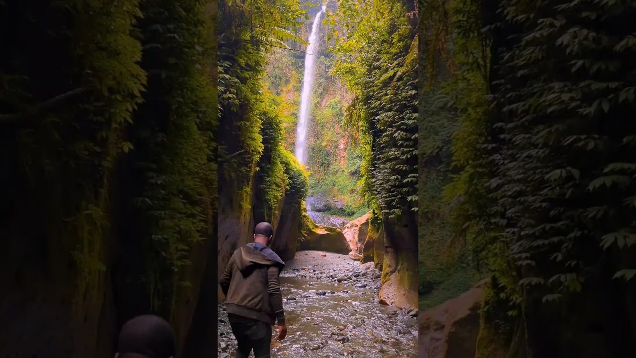 Rainforests are one of the most important ecosystems on Earth 