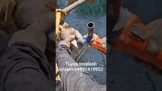 tuyoq tozalash va davolash ishlari Buxoro viloyati boʻyicha
