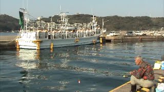 ペットボトルにケミホタル5本でデカチヌ釣り(9話目)