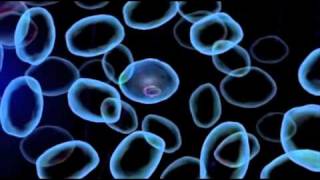 How Eprt Works Within The Body. Wavecharger Technology Explained