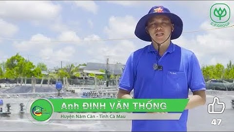 🌟𝐓Ạ𝐈 𝐒𝐀𝐎 𝐓Ô𝐌 𝐂Ủ𝐀 𝐀𝐍𝐇 𝐓𝐇Ố𝐍𝐆 𝐏𝐇Á𝐓 𝐓𝐑𝐈Ể𝐍 ĐỀ𝐔 ĐẸ𝐏, 𝐒Ứ𝐂 ĐỀ 𝐊𝐇Á𝐍𝐆 ĐỈ𝐍𝐇 𝐂𝐀𝐎? 🌟