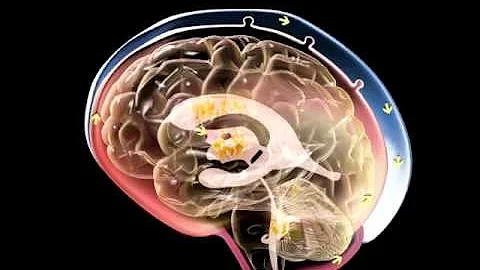 Cerebrospinal Fluid in Brain - 3D Medical Animation || ABP ©