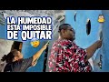 ¡Pintamos más de 100 metros! La humedad está ganando🥵 - Luisito Delgadoo