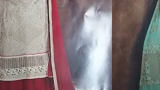 Desgnier Collections