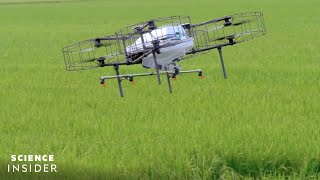 How Japan Is Reshaping Its Agriculture By Harnessing SmartFarming Technology