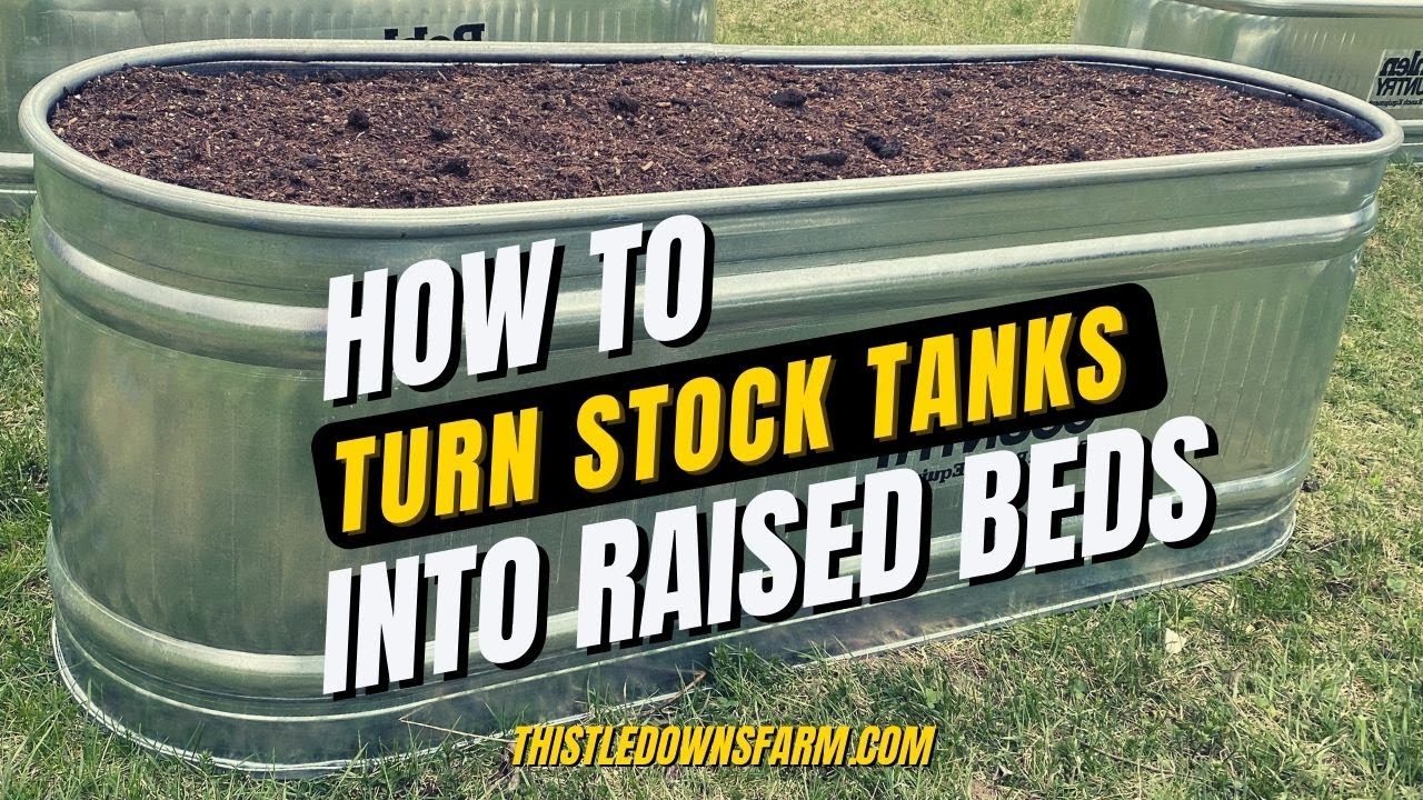 Stock Tanks 40 gallon – Inspire Farms