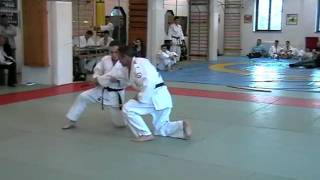 Kime no kata Büki Péter sikertelen 5. danvizsga