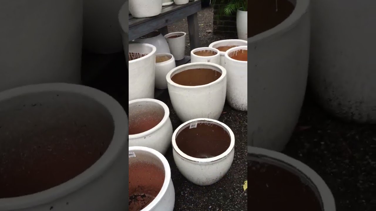 Ceramic container for plants - Favorite local nursery store market - Vivero favorito - home decor