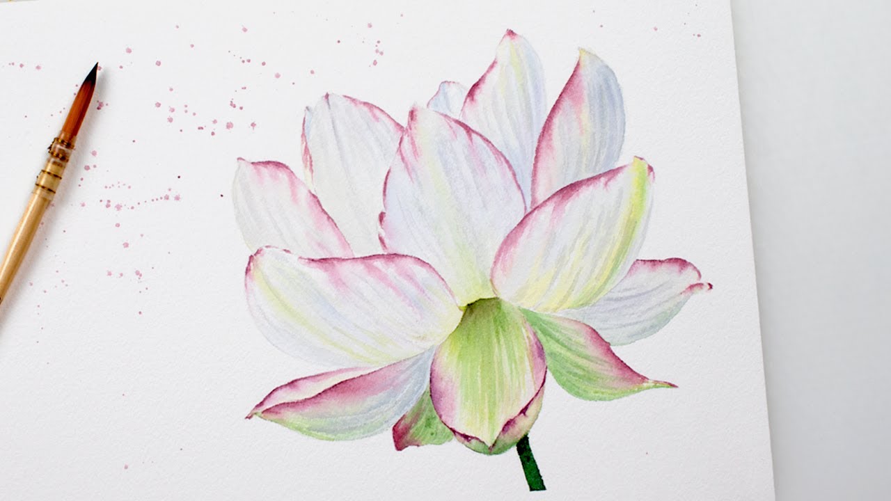 How to paint WATER LILY in watercolors - step by step tutorial with FREE sketch