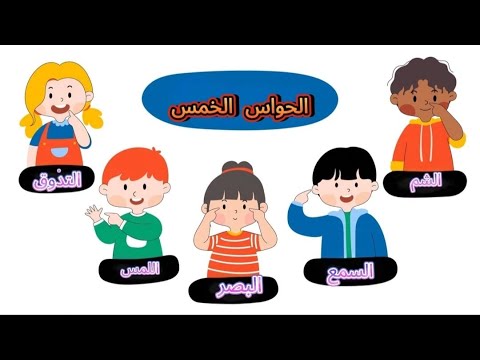 تعرف على الحواس الخمس للأطفال قصة تعليمية