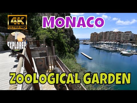Video: Zoo sa Monaco