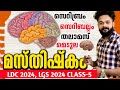 Ldc 2024  class5    brain  psc biology knowledge factory psc ldc2024