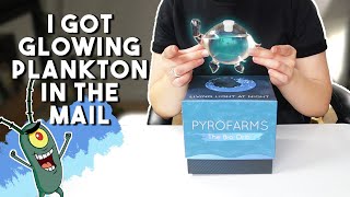 Not Allowed A Pet? You NEED This! | Bioluminescent Plankton