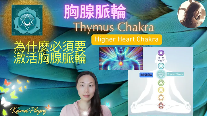 61)胸腺脈輪 Thymus Chakra | 為什麽必須激活胸腺脈輪 | 高位置心輪 Higher Heart Chakra | 免疫力 | - 天天要聞