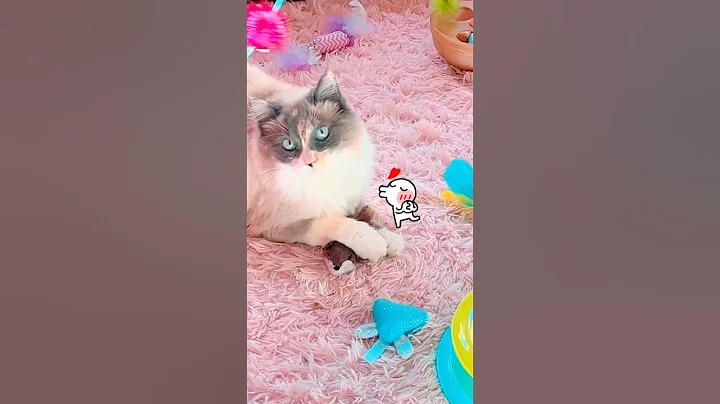 Video 10989761: cat kitty cute