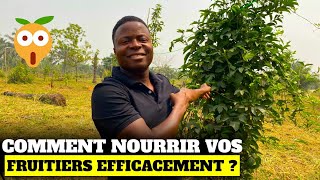 Avec quoi nourrir efficacement mes fruitiers en Afrique ?