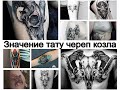 Значение тату череп козла - особенности рисунка и фото примеры для tattoo-photo.ru