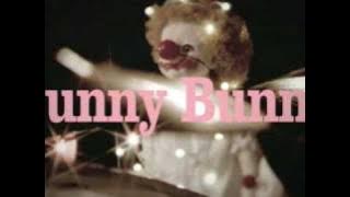 the pillows / Funny Bunny