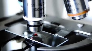 Biosurveillance Ecosystem