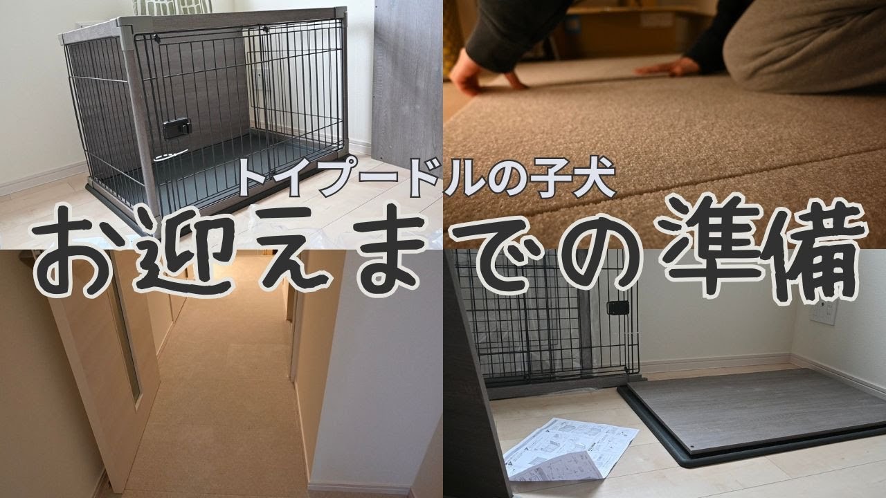 【お迎え準備】トイプードルの子犬お迎えまでの様子/ケージ組み立て・廊下のマット敷き