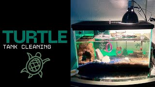 TURTLE TANK CLEANING- My Soft Shell Turtle Tank