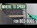 Where to Spray for Bed Bugs: Bed Bug Control