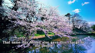 Deuteronomy chapter 27 New Living Translation #NLT#BIBLE