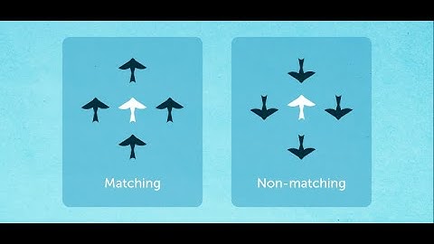 Lumosity - Lost in Migration (My Best Stat)