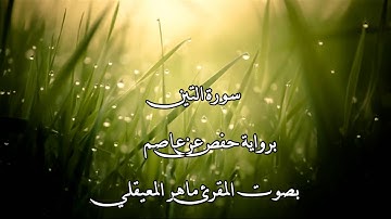 سورة التين بصوت المقرئ ماهر المعيقلي