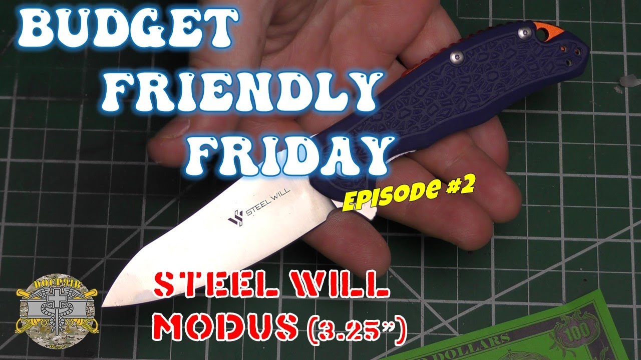 Budget Friendly Friday! Episode 2 - Steel Will Modus